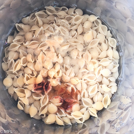 pasta, water, and seasoning in pressure cooker