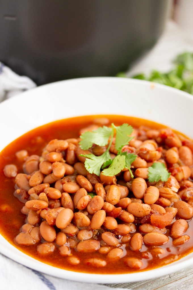 Pressure Cooker (Instant Pot) Pinto Beans - My Forking Life