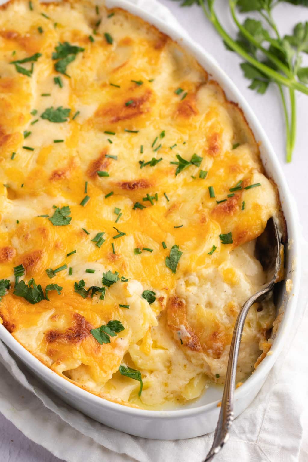 Cheesy Scalloped Potatoes - My Forking Life