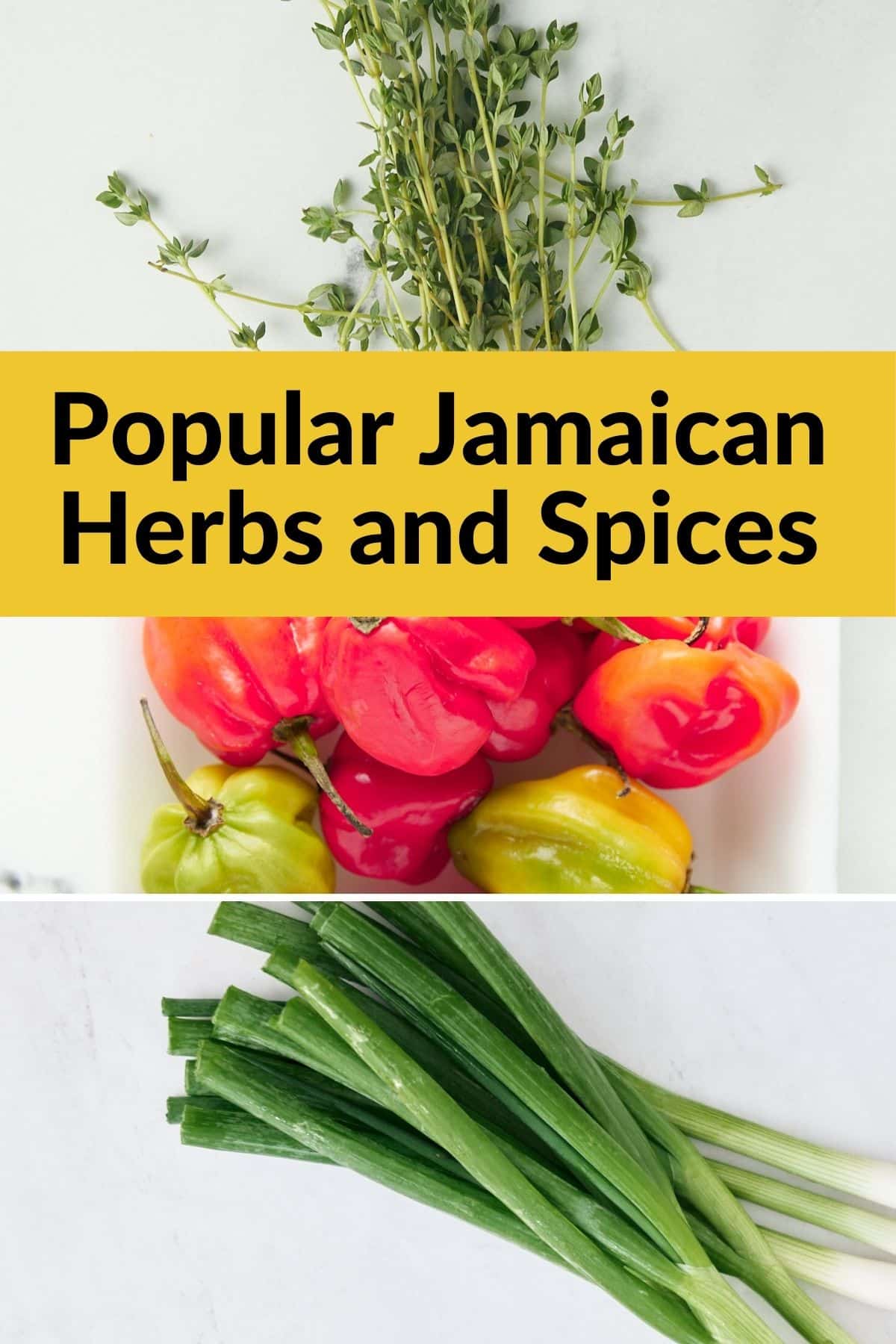 https://www.myforkinglife.com/wp-content/uploads/2022/06/Popular-Jamaican-Herbs-and-Spices-photo.jpg