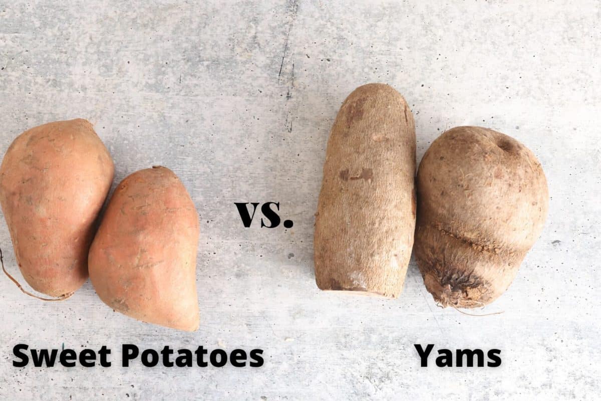 What's the Difference Between Sweet Potatoes and Yams? - Eater