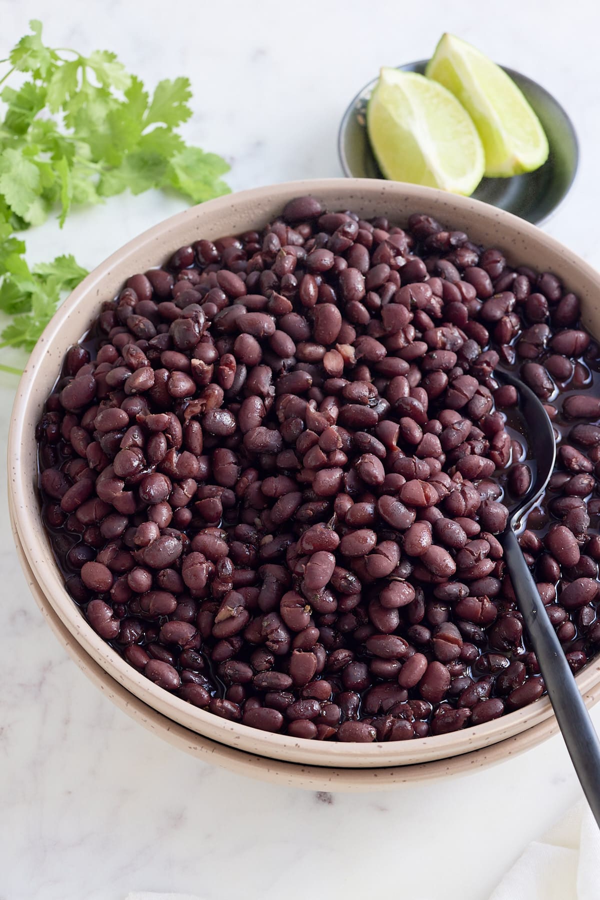 How to cook black beans in the crock pot - crock pot black beans recipe