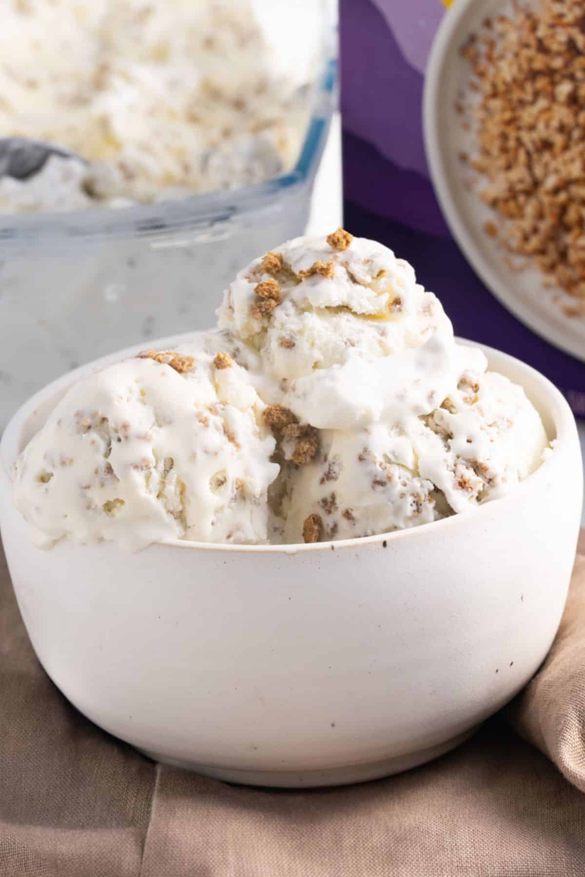 grape nut ice cream in a bowl