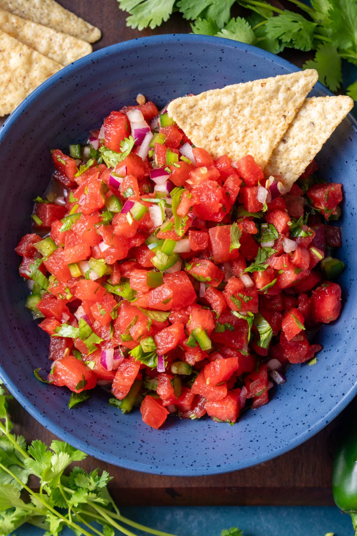 watermelon salsa in bowl with chips sticking out