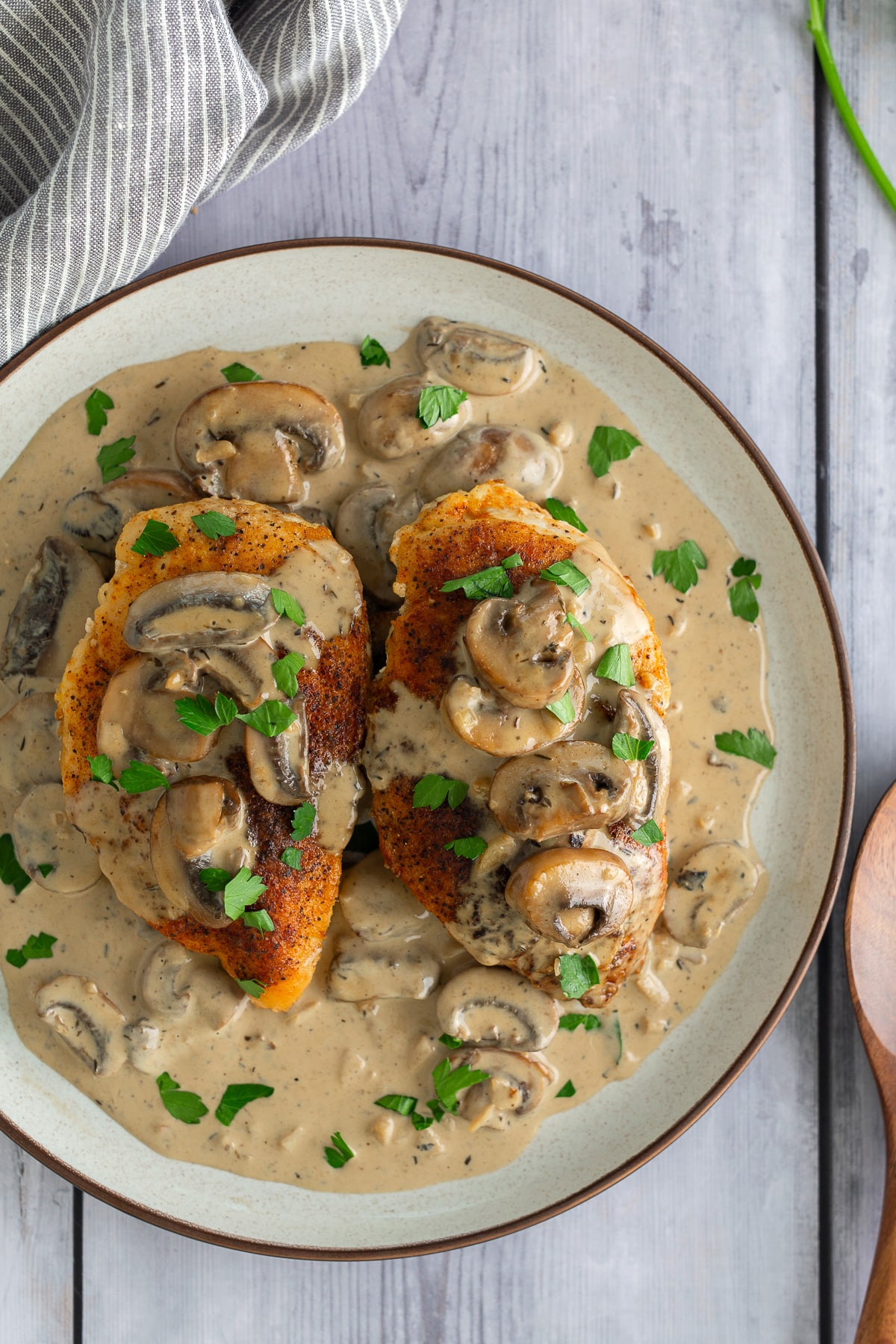 cream of mushroom chicken on plate from overhead