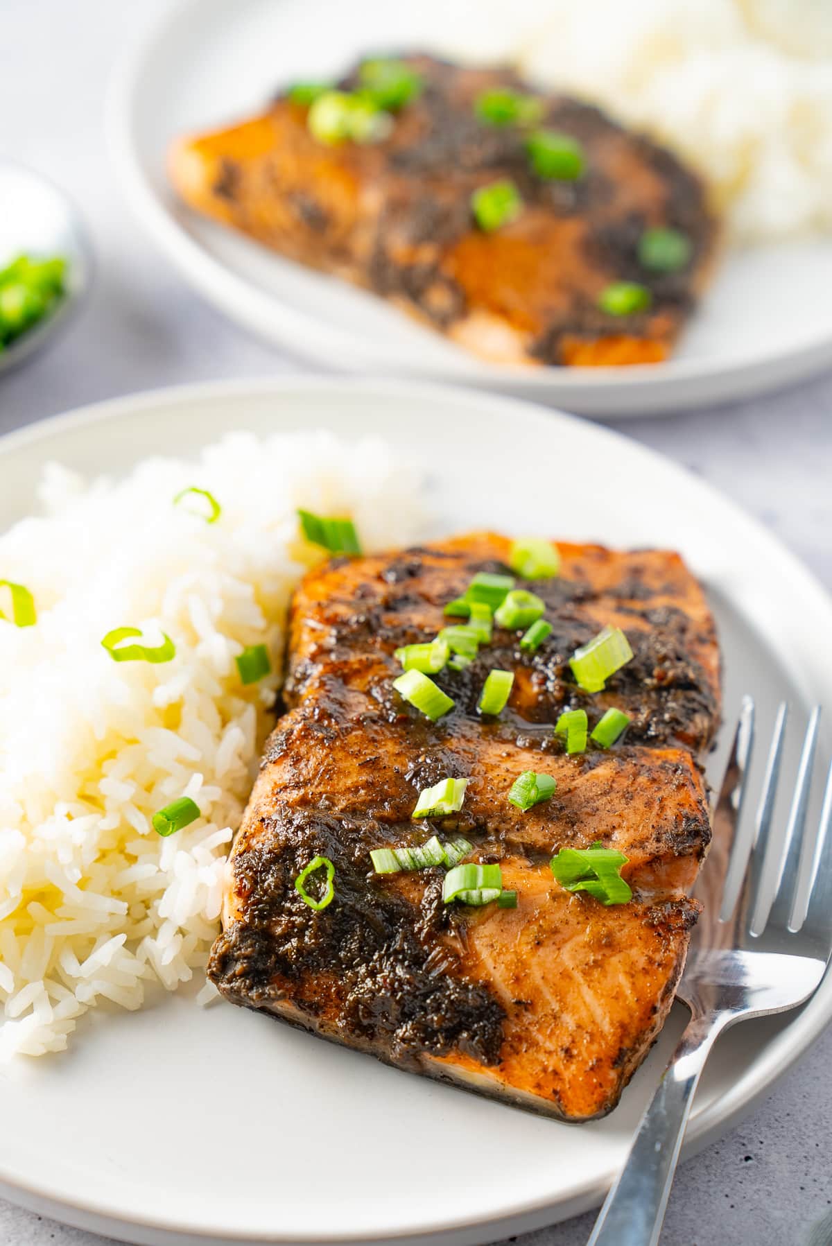 jerk salmon on a plate with white rice